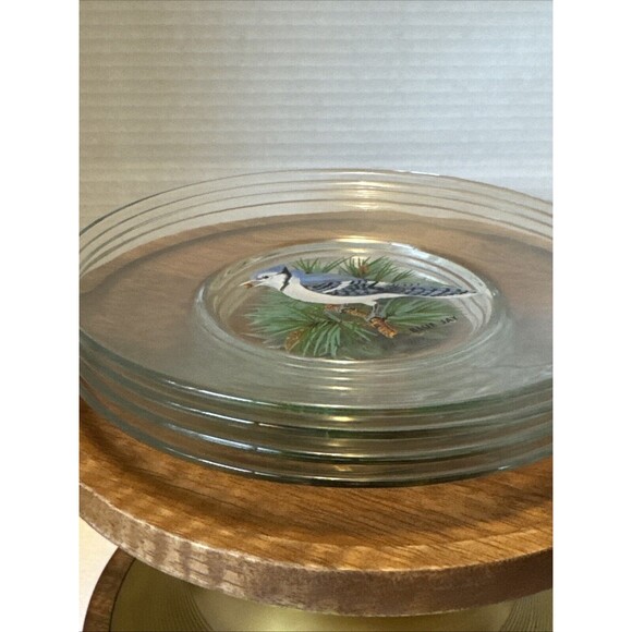 Birds painted On Clear Glass Plates Robin Goldfinch Blue Jay Tufted Titmouse - Picture 14 of 15